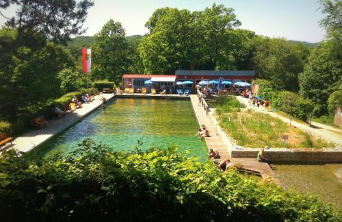 Ferienhaus Sylvia beim Waldrand - Foto 41