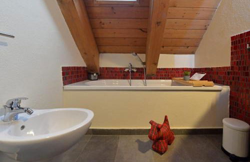 L'Ame du Mont Blanc - Foto 20