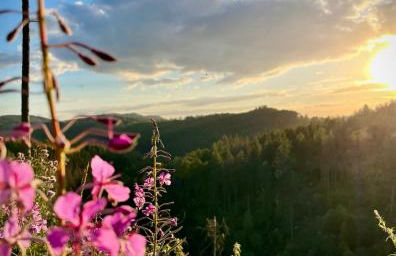 Ferienwohnung Harzurlaub - Photo 43