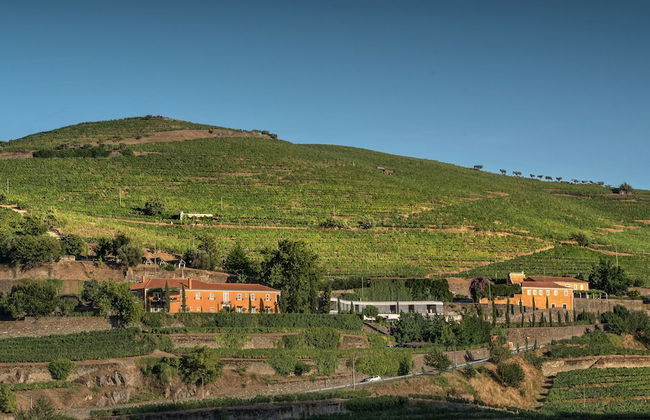 Quinta do Vallado - Foto 61