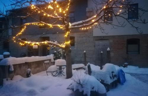 Ferienhof"WaldEsel Rippersroda" - Foto 62