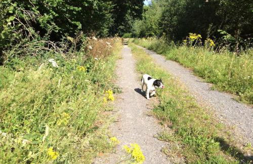 Gîte nature - 4 personnes à Signy-le-Petit - Foto 39