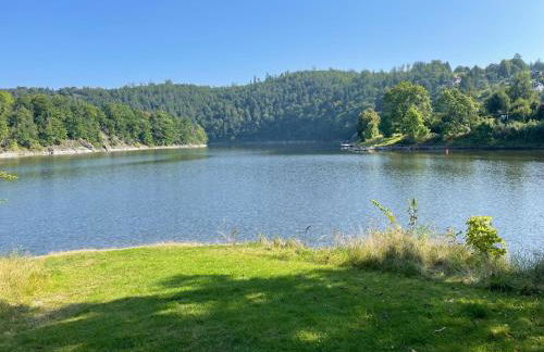 Apartments Saaldorf-Ferienhaus mit 6 Apartments 45qm-120qm direkt am Thüringer Meer-Bleilochtalsperre - Foto 19