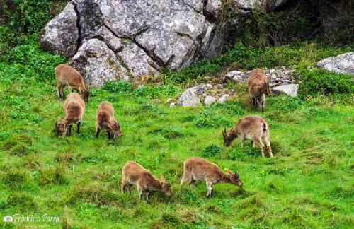 Casa Rural Los Cipreses - Photo 49