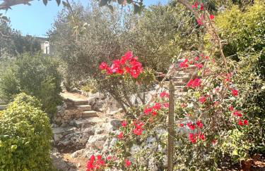 Oasi Fiore nel Salento - Foto 18
