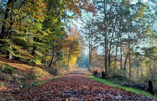 Haus am GoldSteig - Zentral, Ruhig Stadtnah - Top Anbindung - Biergarten und Pizzeria direkt vor der Tür - Photo 40