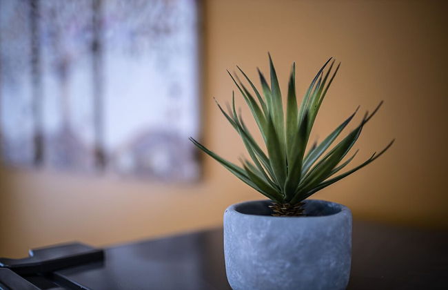 Escape time in Paris - Foto 23