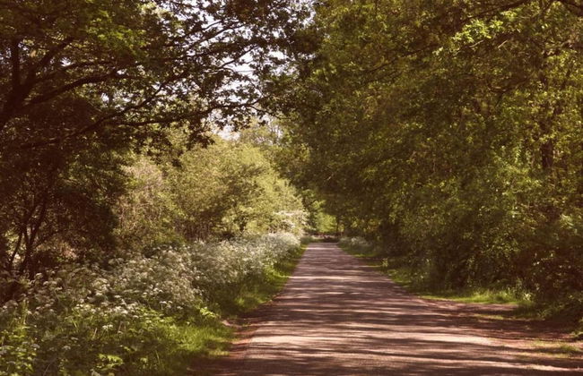 Getaway With Covered Veranda - Photo 38