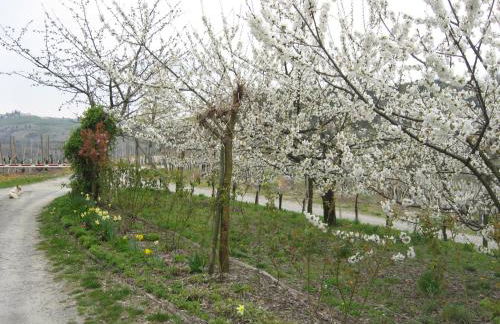 Agriturismo Cascina Serra - Foto 19