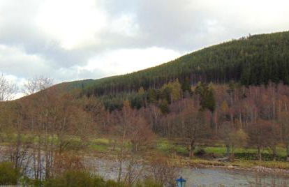 Montclaire - Foto 10