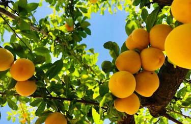 Portuguese village apartment - Casa Martins No.54 - Foto 6