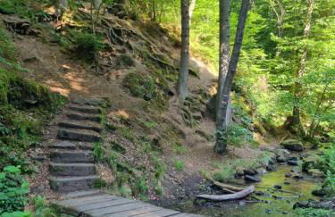 Charlottes Waldresidenz - Foto 21