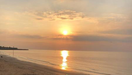 Garden Oasis - Foto 3