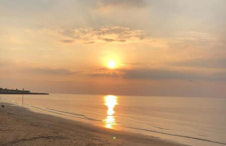 Garden Oasis - Foto 3