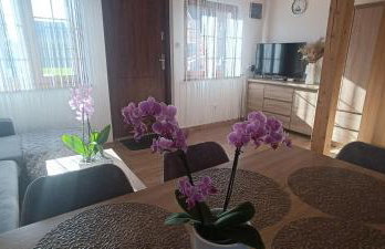 Diament Rogowo - Foto 38