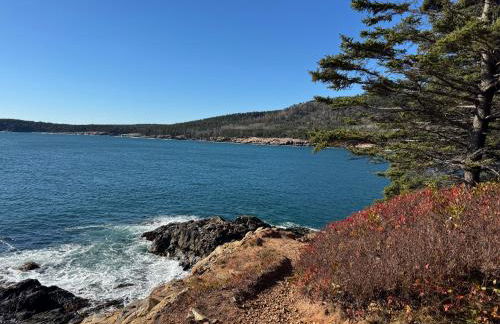 Acadia Horizon Cottage - Foto 5