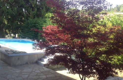 Nel verde house di Rolando - Photo 8