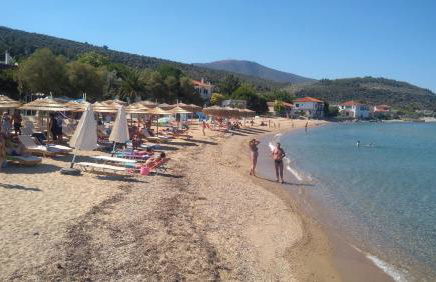 Sunray Separate Villa - Photo 43