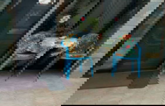 Villa George - Foto 4