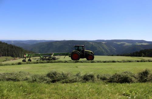 Sigmundenhof Schonach - Foto 66