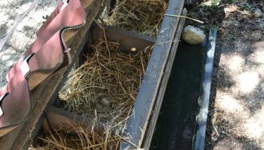 Bus atypique au bord du canal du midi et au cœur d'une forêt 2 chambres - Foto 4