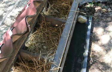 Bus atypique au bord du canal du midi et au cœur d'une forêt 2 chambres - Foto 4