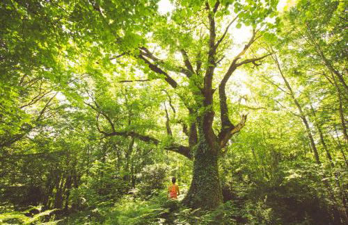 Casa Etxalde - Photo 28