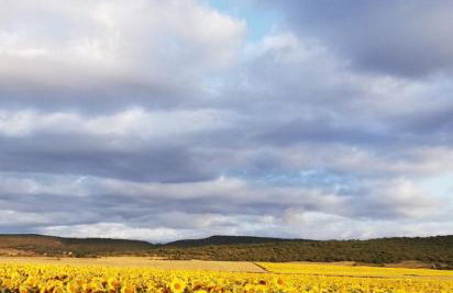 Casa Alseda en Las Merindades - Photo 40