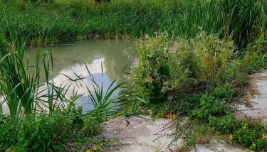 Agriturismo Coradosso "Il Fienile" - Foto 5