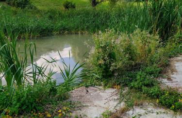 Agriturismo Coradosso "Il Fienile" - Foto 5