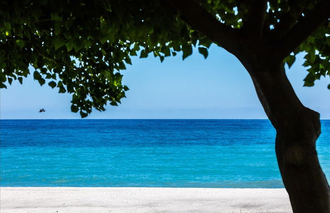 Romantic Beachfront Getaway - Foto 32