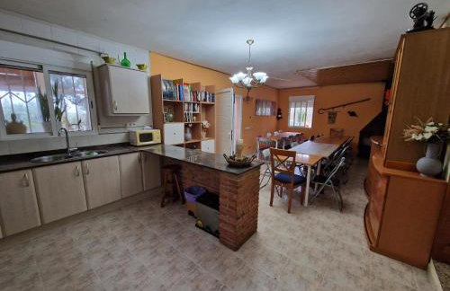 Lo Racó de Peret - Foto 33