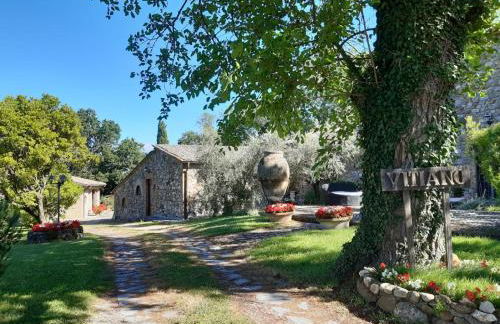 Antico Podere Vitiano - Luxury country house - Foto 9