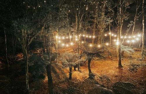 Pousada Alpes da Araucárias - Foto 17