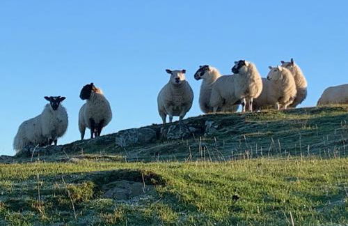 The Hideaway Bureau - Lowlands - Photo 18
