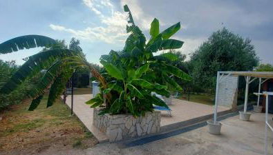 Casa degli Ulivi - Foto 5, Garden view