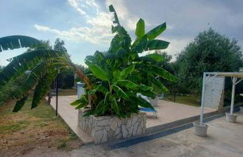 Casa degli Ulivi - Photo 5