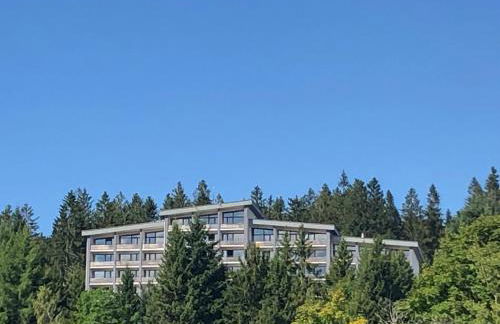 Panorama Bayerwald - Foto 1