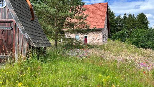 Bispinger-Heidezauber-Haus-Felsenbirne - Foto 3