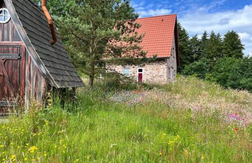 Bispinger-Heidezauber-Haus-Felsenbirne - Foto 3