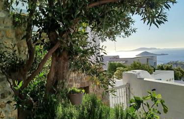 Manos House in Chora - Foto 65