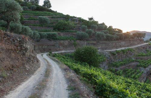 Casa de Casal de Loivos - Foto 107