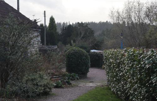 Castle Rag - Photo 28