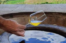 Tenuta San Marcello - Foto 80