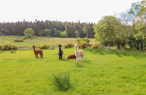 Moorgair Cottage - Foto 26