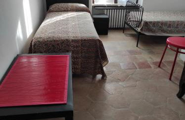 Il cortile dei frutti selvatici - Photo 36