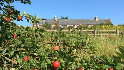 Cocklekitty Cottage - Foto 2, Garden, Garden view