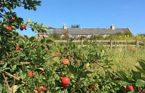 Cocklekitty Cottage - Foto 2