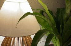 Aconchego Verde - Apartamento Olinda - Foto 12