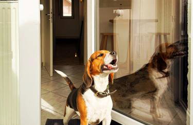 Lea`s Residence - Foto 18